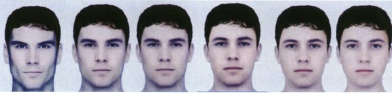 The gradual transition of men's facial lines from straight to curved (from left to right, straight to curved)