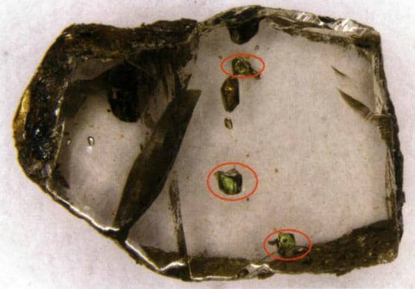 Figure 1-14 Chromian diopside inclusion in a diamond