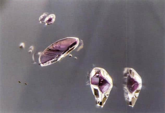Figure 1–15 Pyrope-almandine garnet inclusions in a diamond