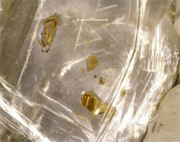 Figure 1–16 Orange garnet inclusions in a diamond