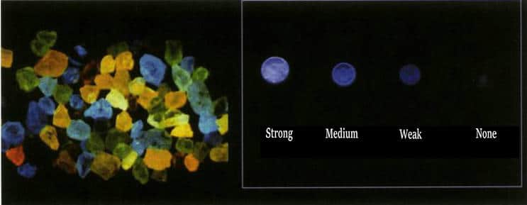 Figure 3-12 Natural diamonds exhibit a variety of colors in UV fluorescence