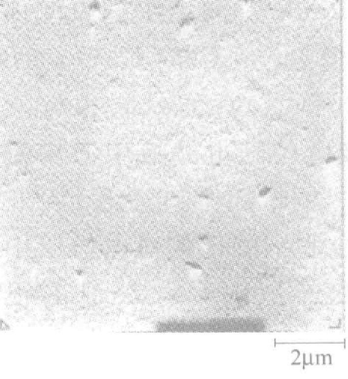 Figure 1-5 Surface state of gold-silver alloy plating