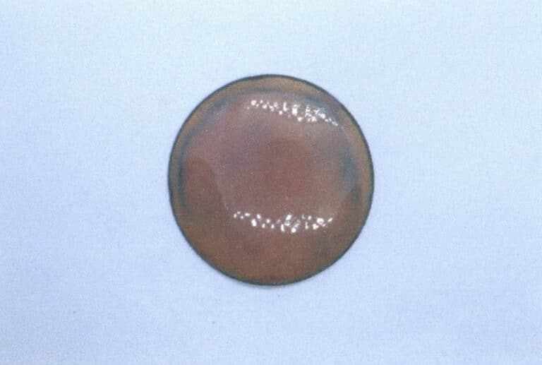 Figure 9-2 Copper base plate after sieving and firing one layer of pink glaze