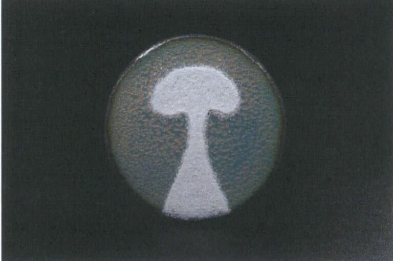 Figure 9–12 Mushroom No. 17