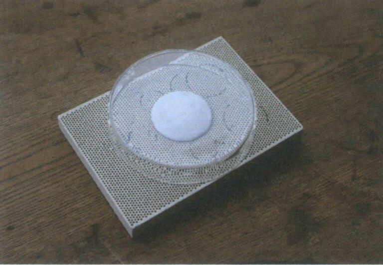 Figure 9–17 Place the piece inside a glass cover to dry