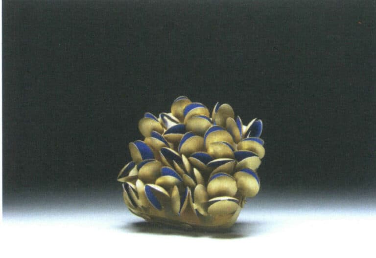 Figure 10–31 Brooch